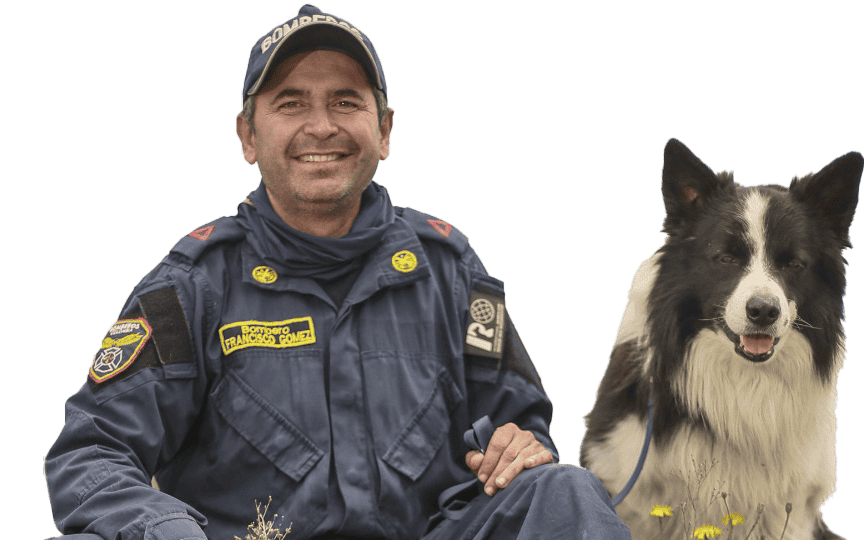 Perros de búsqueda y rescate