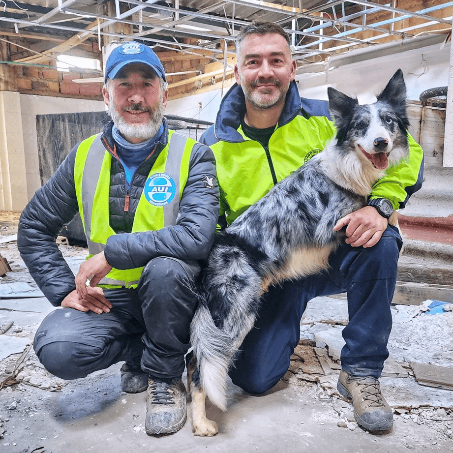 Perros de búsqueda y rescate